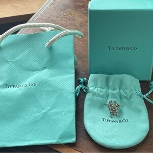 Tiffany & Co. Silver Leaf Earrings